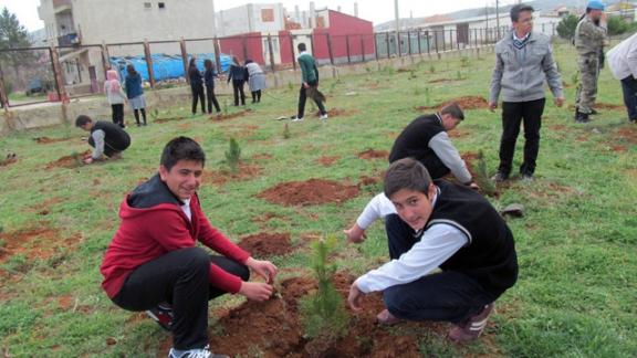Afşin Anadolu Lisesi Ağaç Dikimi Etkinliği